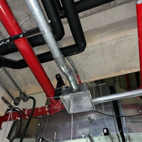 Untitled design – 11