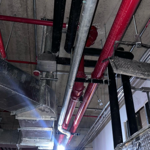 Untitled design – 13