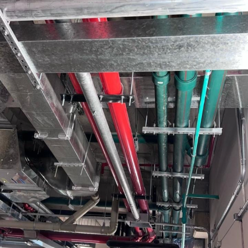 Untitled design – 4