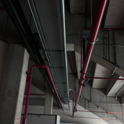 Untitled design – 8